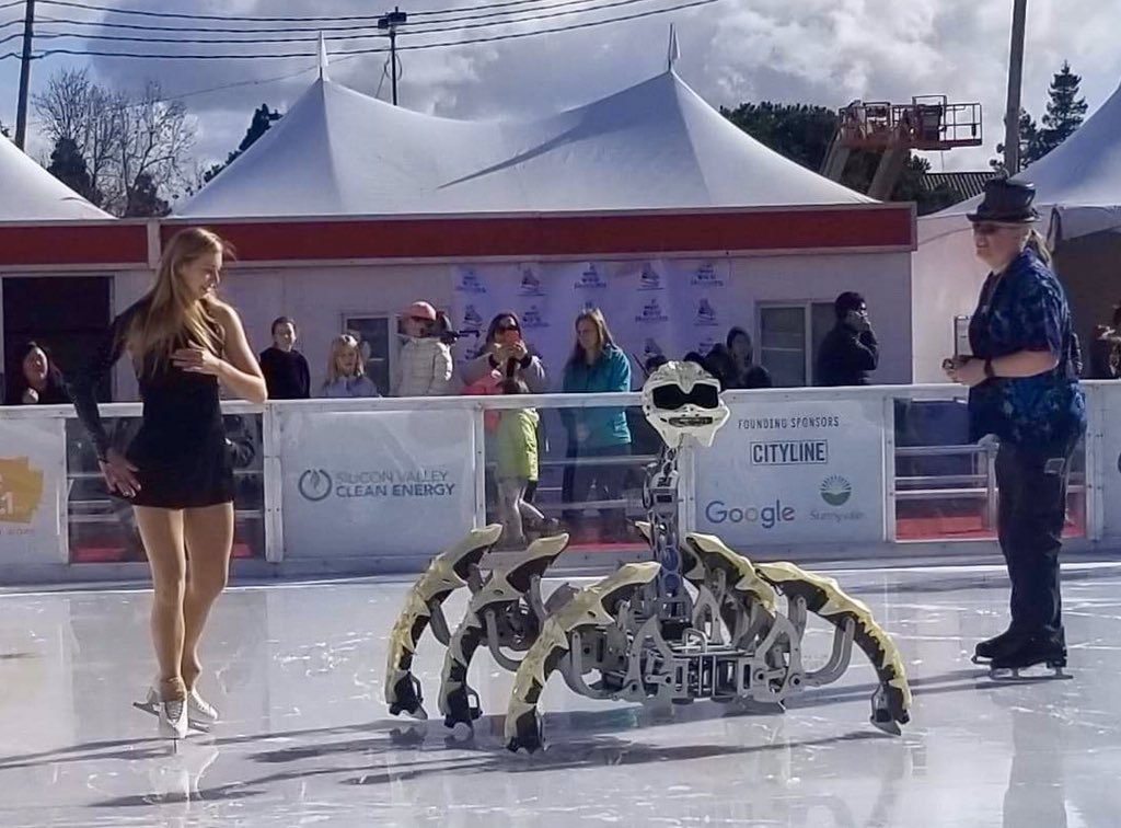 RobotOnIce_PolinaEdmunds